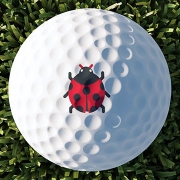 Golfpro image