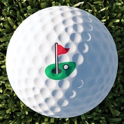 Golfpro image